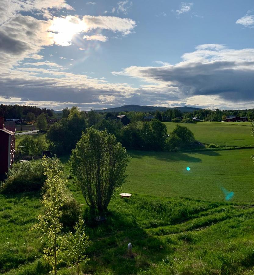 Haga Mini Lägenhet Enånger Exteriör bild